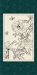白描茶花