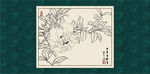 白描茶花