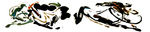 马