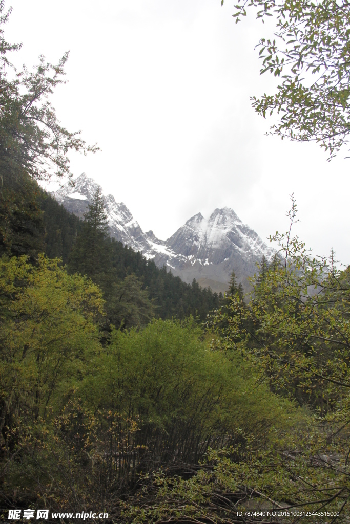 四姑娘山