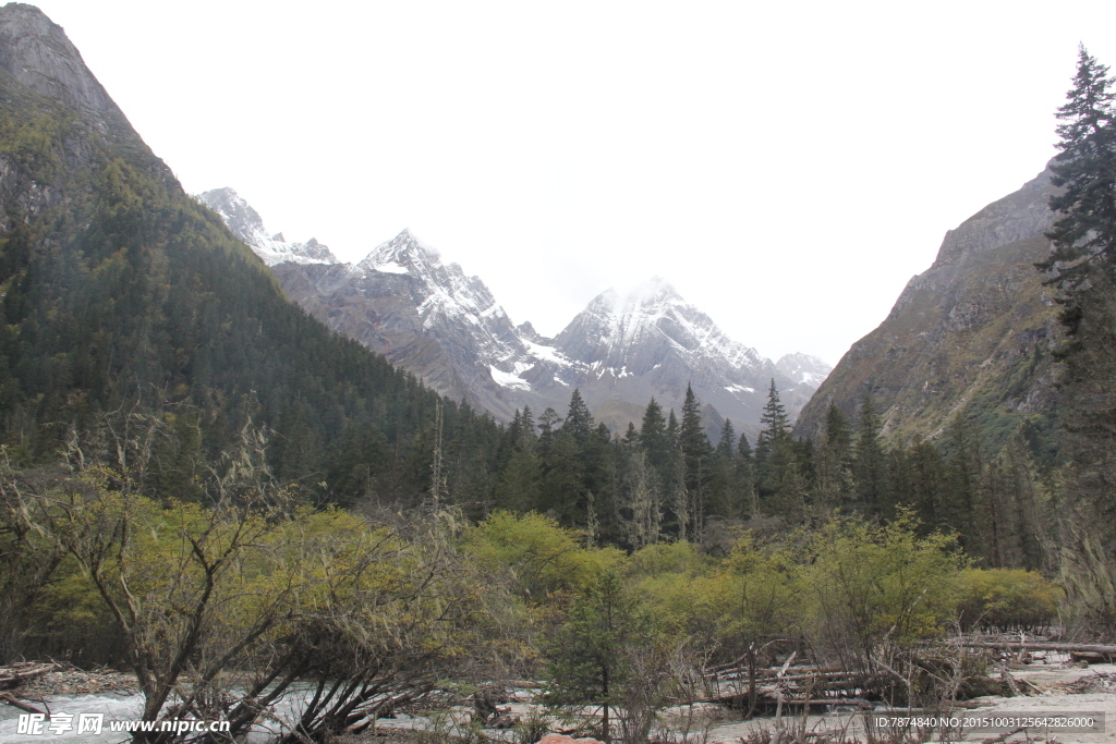 四姑娘山