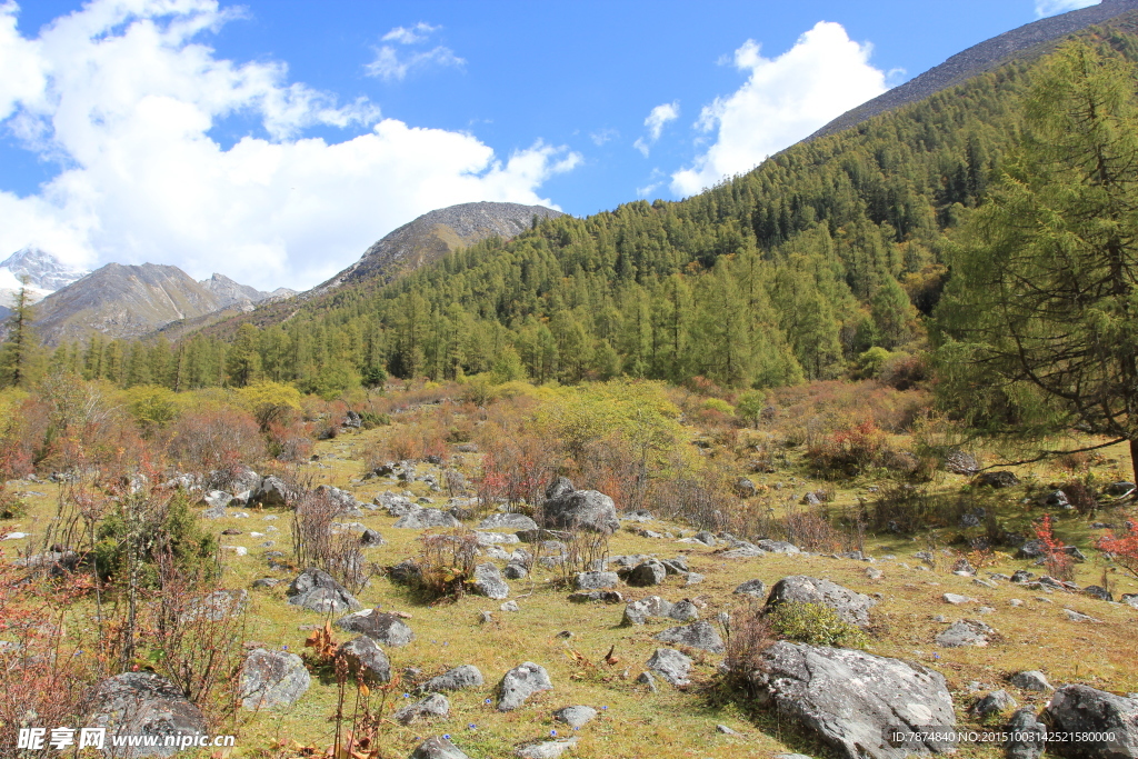 四姑娘山