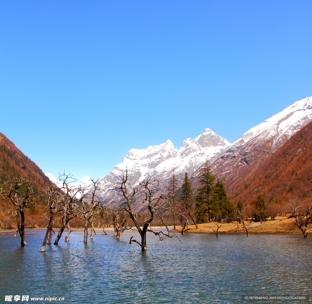 四姑娘山