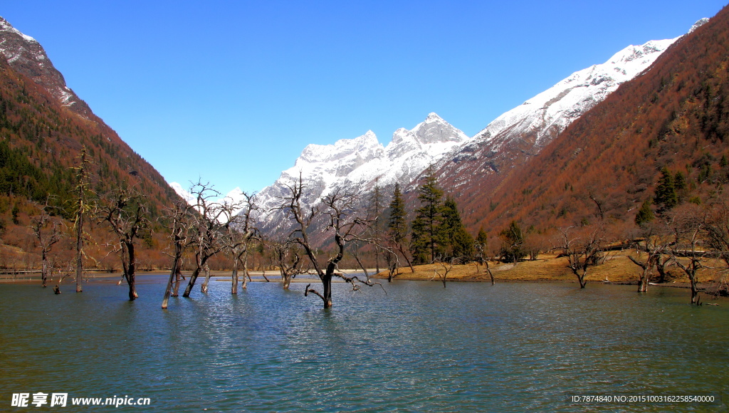 四姑娘山