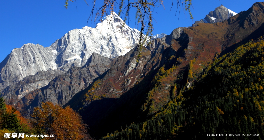 四姑娘山