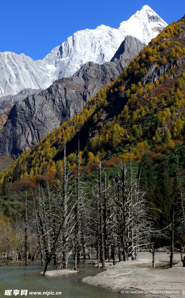 四姑娘山