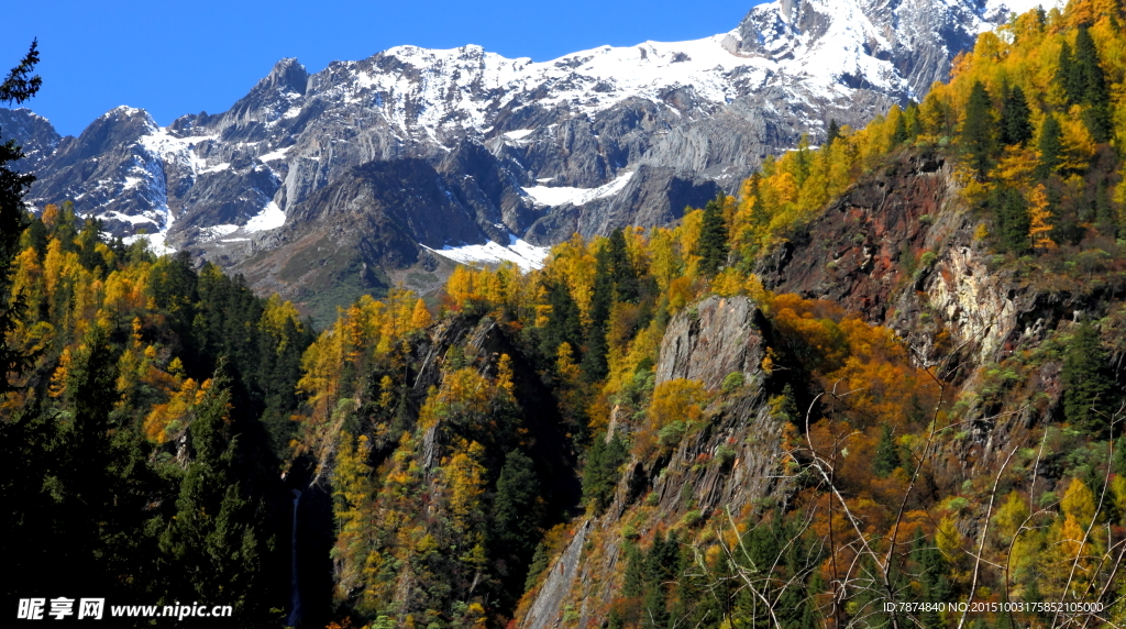 四姑娘山