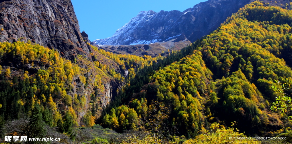 四姑娘山