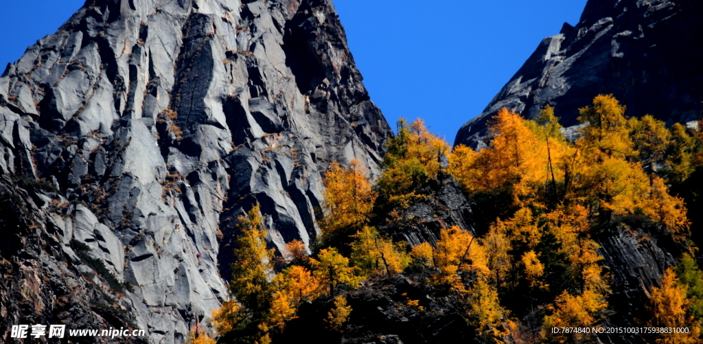 四姑娘山