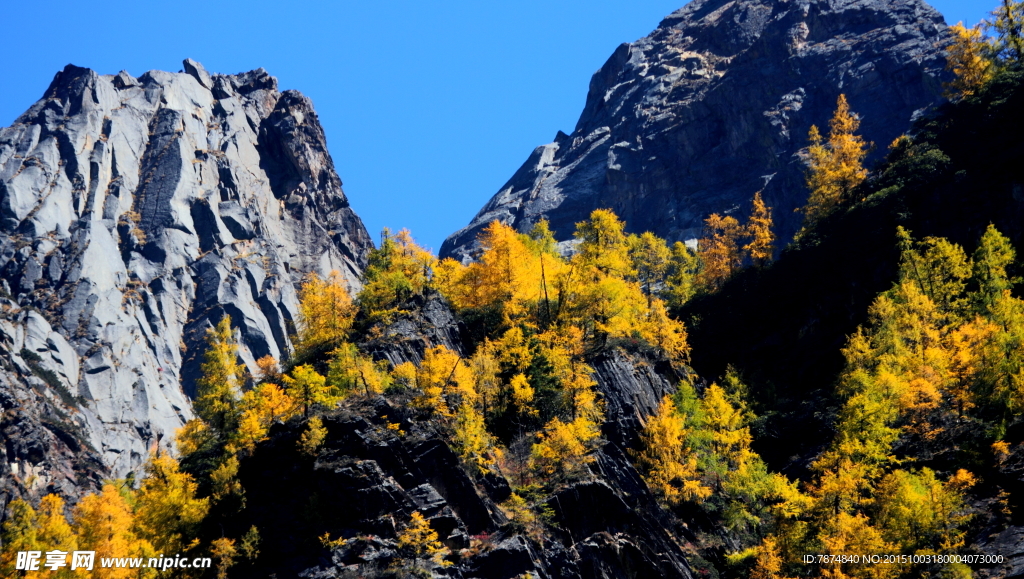 四姑娘山