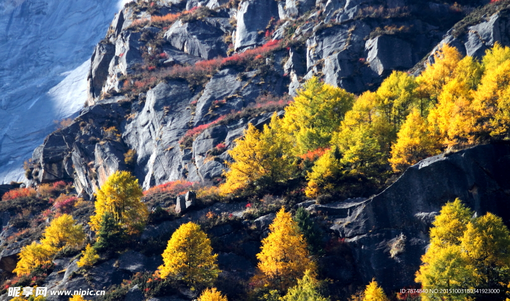 四姑娘山