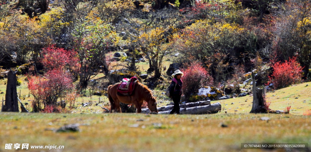 四姑娘山