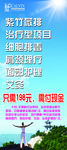 美容排毒