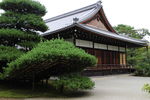 日本京都庭院
