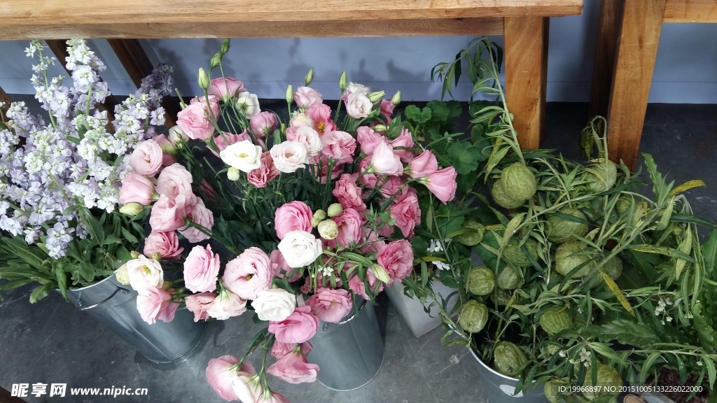 玫瑰摄影 花店