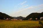 田园风光