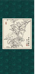 白描茶花