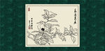 白描茶花