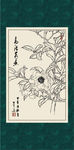 白描茶花