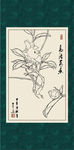 白描茶花