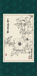 白描茶花
