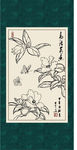 白描茶花
