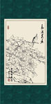 白描茶花