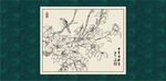 白描茶花