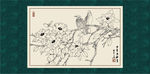 白描茶花