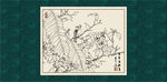 白描茶花