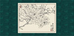 白描茶花