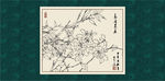 白描茶花