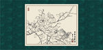 白描茶花