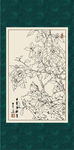 白描茶花
