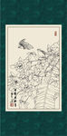 白描茶花