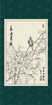 白描茶花