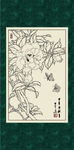白描茶花
