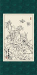 白描茶花