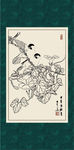 白描牵牛花