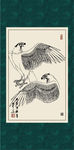 雄鹰