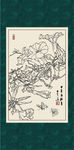 白描牵牛花
