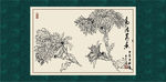 白描菊花