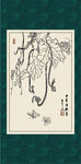 丝瓜