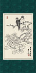 红果红了