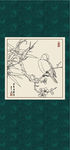 白描梅花