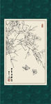 天竺
