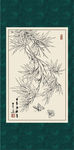 风竹