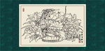 白描博古