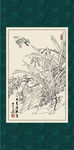 白描兰花