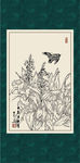白描兰花